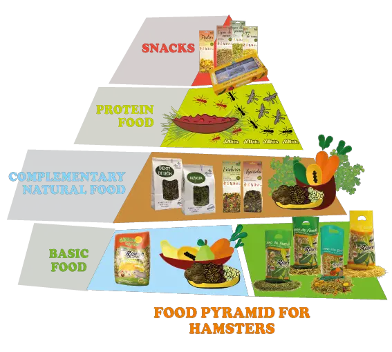 FOOD-PYRAMID-FOR-HAMSTERS1