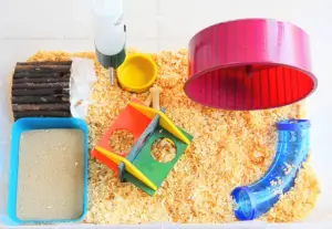 Hamster Cage