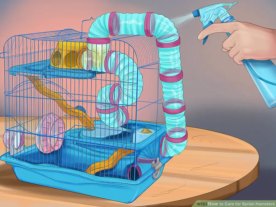  Keep your hamster's cage clean