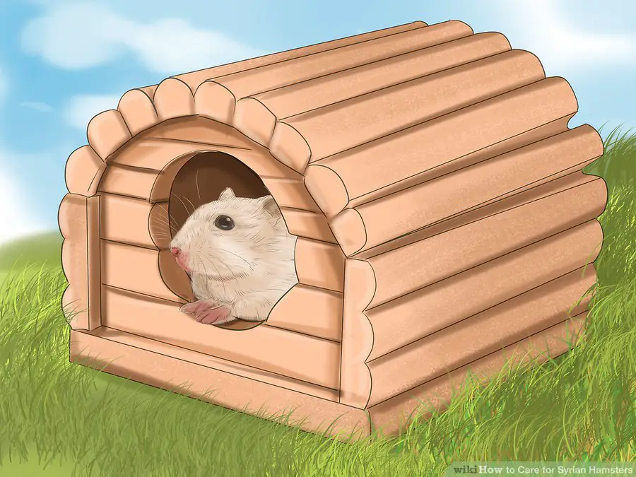 Buy a "hamster house" for your hamster to stuff with nesting material so it feels safe and cozy