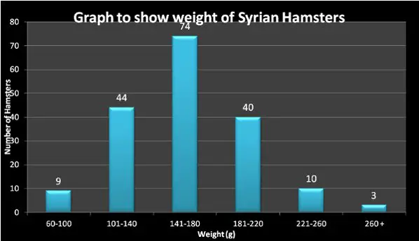 Syrian Hamster Weight