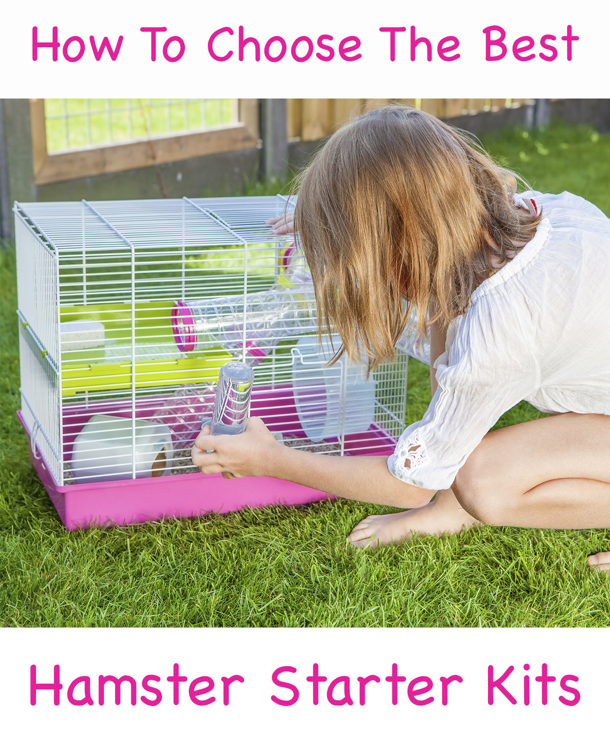 Hamster Starter Kit - Choosing a complete hamster starter kit