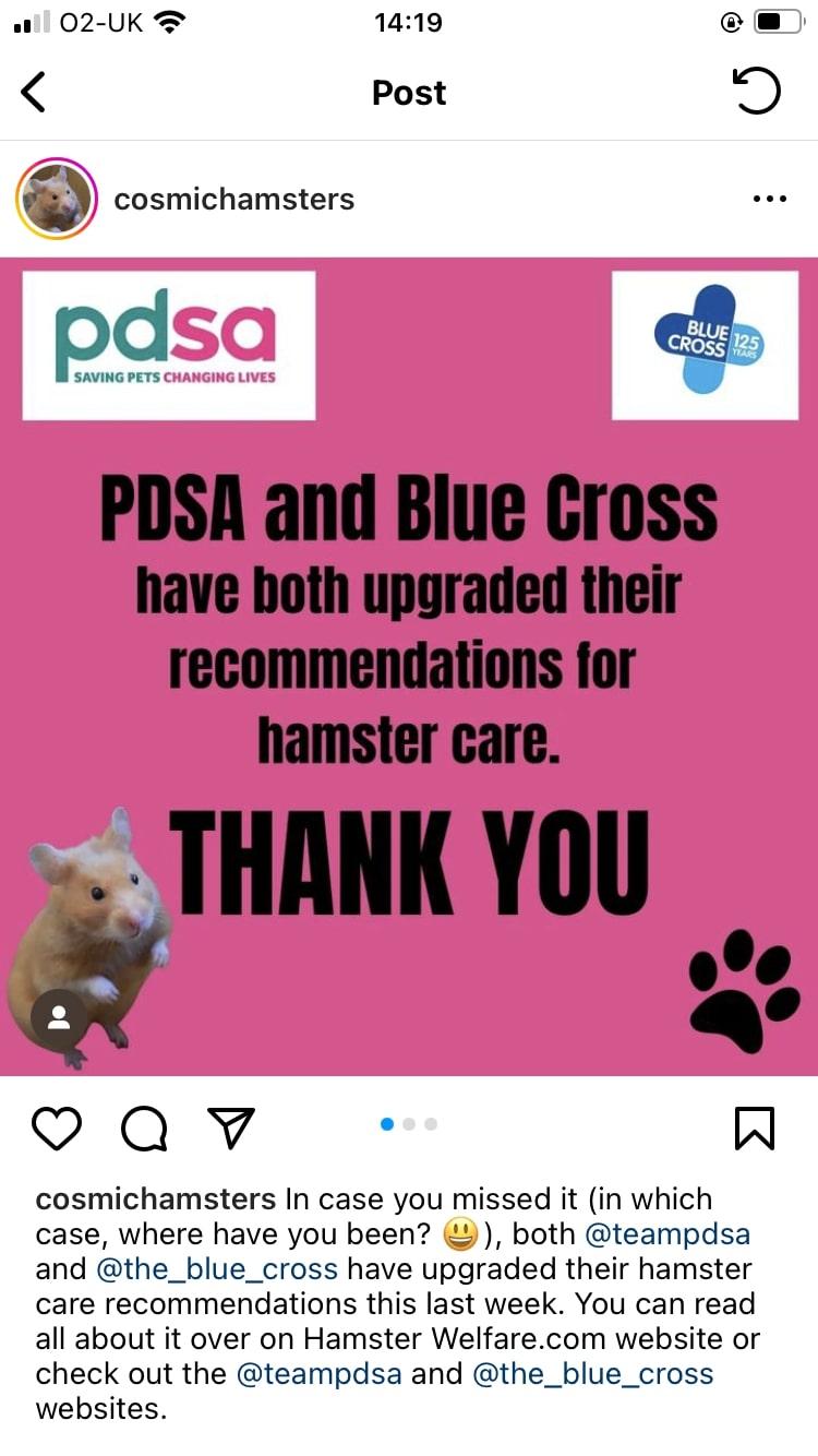 @cosmichamsters celebrating PDSA on social media