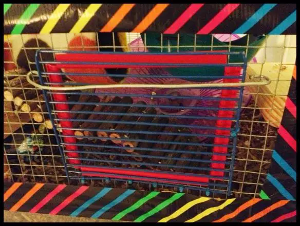 Double Decker DIY Hamster Cage